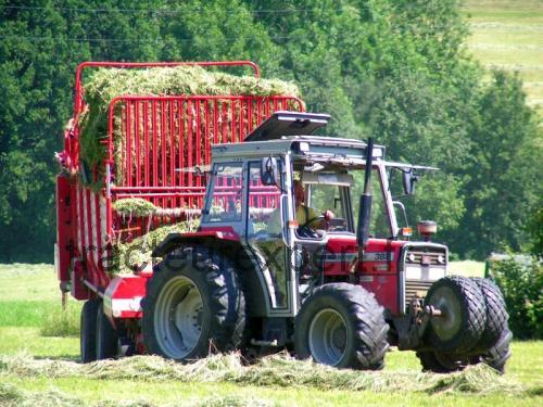 Massey Ferguson 382 fiche technique et avis